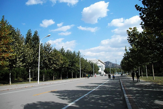 东莞零基础成人英语学习培训(东莞成人英语培训班 培训学校)