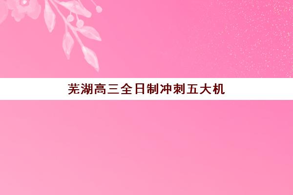 芜湖高三全日制冲刺五大机构用户推荐榜如何参考？2025年真实用户评价、各机构特色解析与科学择校全指南