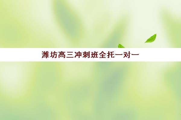 潍坊高三冲刺班全托一对一培训机构哪家强一点？2025年最新权威排名、择校指南与成功案例解析
