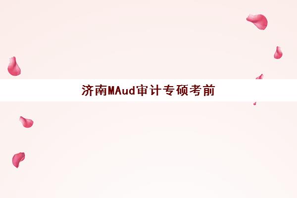 济南MAud审计专硕考前集训课程培训机构哪个好一点？2025年权威排名解析与择校全攻略
