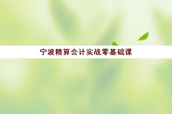 宁波精算会计实战零基础课程2025辅导班哪儿最好？2025年最新权威排名解析与择校全攻略