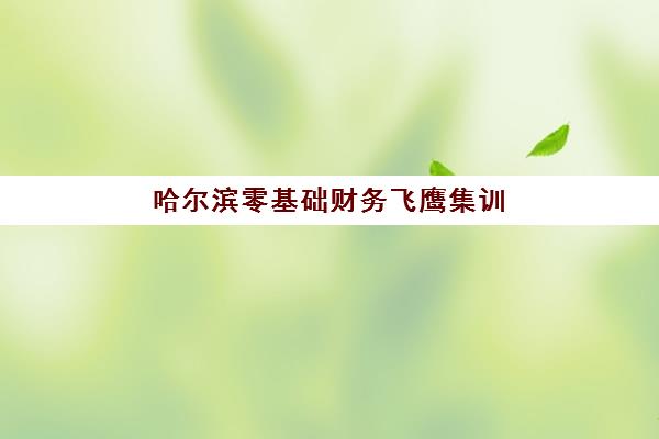 哈尔滨零基础财务飞鹰集训营什么时候报名考试?2025年最新时间安排、课程内容与备考全指南 哈尔滨零基础财务飞鹰集训营什么时候报名考试?2025年最新时间安排、课程内容与备考全指南