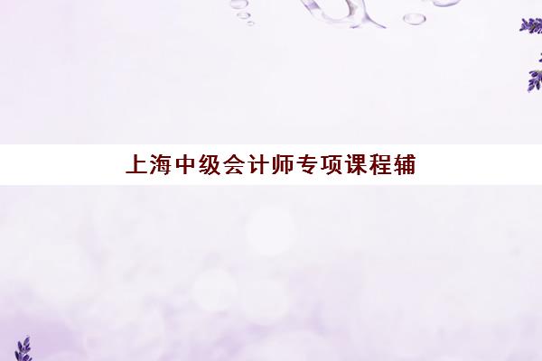 上海中级会计师专项课程辅导机构那家比较好？2025年最新Top10权威排名、择校指南与成功案例深度解析