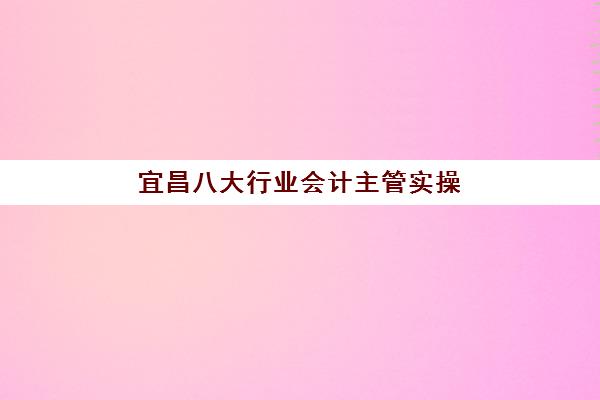 宜昌八大行业会计主管实操课程集中训练营有哪些学校？2025年最新权威名单、课程特色与择校全攻略