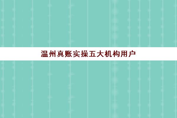 温州真账实操五大机构用户反馈如何？2025年最新排名与选择指南