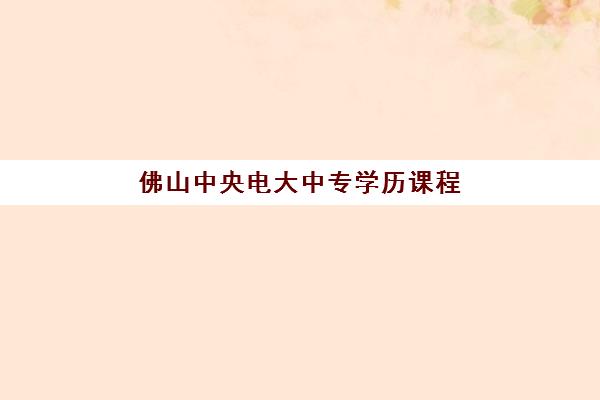 湘潭会计硕士暑期集训营如何选择？公办与民办机构服务全对比及择校指南