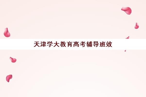 厦门启航训练营会计实操课程班哪个机构好一点啊？2025年权威机构对比与择校指南全解析