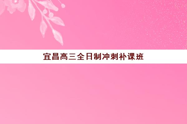 宜昌高三全日制冲刺补课班预报名费用多少？2025年收费标准与择校全攻略