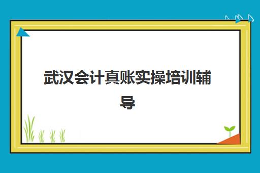 武汉会计真账实操培训辅导学校有哪些学校？2025年最新权威排名、择校指南与成功案例解析