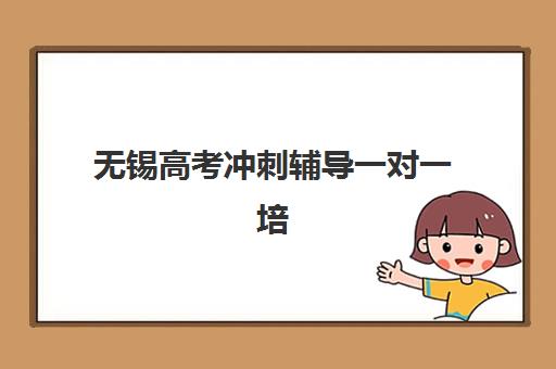 无锡高考冲刺辅导一对一培训机构哪个比较好一点？2025年最新实力对比与个性化选择指南