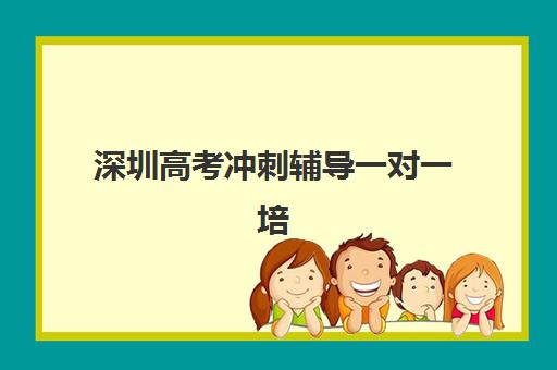 深圳高考冲刺辅导一对一培训机构哪个好费用多少？2023年最新机构排名、收费标准与选择指南全解析