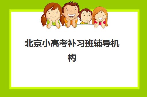 北京小高考补习班辅导机构排名一览表最新如何查询？2025年权威榜单深度解析、各校特色对比与科学择校全指南
