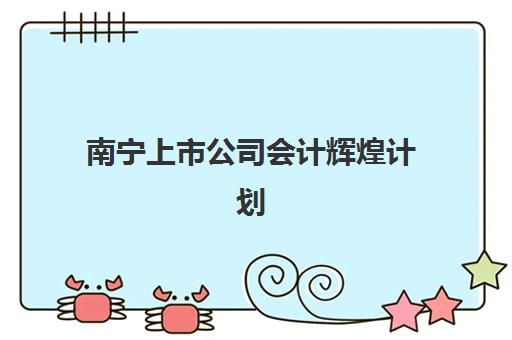 南宁上市公司会计辉煌计划五大机构用户反馈如何？2025年真实评价与选择指南