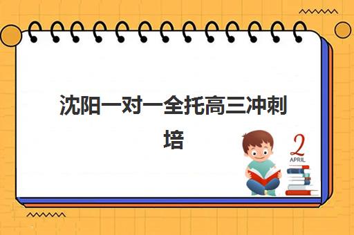 沈阳一对一全托高三冲刺培训机构如何选？2025年十大口碑机构排名、课程特色与择校避坑指南