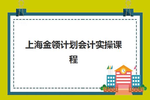上海金领计划会计实操课程辅导机构有哪些学校好？2025年优质机构推荐、对比分析与择校全指南