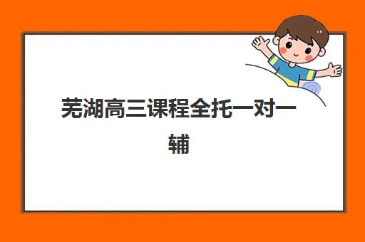 芜湖高三课程全托一对一辅导机构哪家强一点？2025年最新实力排名与择校指南