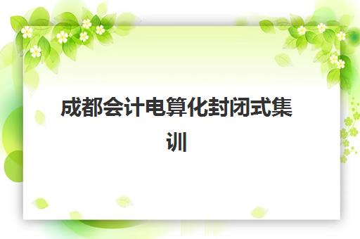 成都会计电算化封闭式集训营如何选？2025年精品课程全解析与择校指南