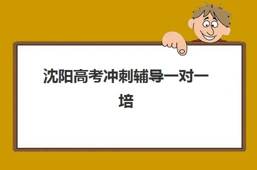 沈阳高考冲刺辅导一对一培训基地在哪个位置？2025年最新校区分布、择区指南与交通攻略