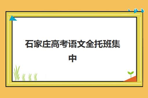 石家庄高考语文全托班集中训练营有哪些学校？2025年最新权威排名、课程特色与择校全指南