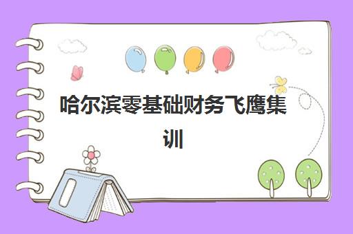哈尔滨零基础财务飞鹰集训营最好辅导学校是哪个？2025年权威评测与择校指南助你快速入门财务领域