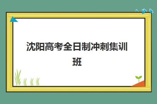 沈阳高考全日制冲刺集训班培训班哪个最好一点？2025年最新权威排名深度解析与科学择校全指南