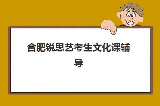 合肥锐思艺考生文化课辅导补习机构大概多少钱？2025年收费标准全面解析与性价比报班指南
