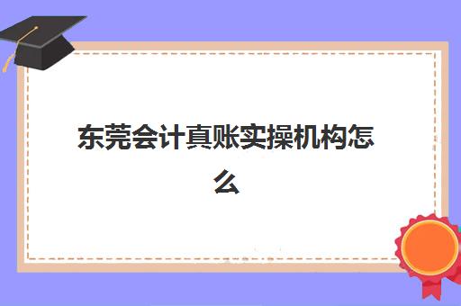 东莞会计真账实操机构怎么选？2025年五大机构教学模式与就业服务全对比