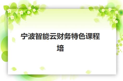 宁波智能云财务特色课程培训机构有哪些学校如何选择？2023年十大机构推荐、课程对比与报名全攻略