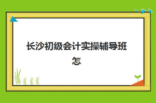 长沙初级会计实操辅导班怎么选？2025年机构课程价格、真账实训与师资对比指南