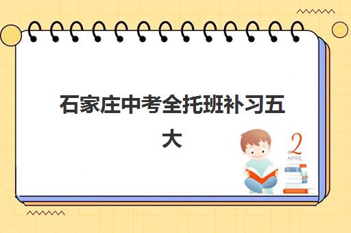 宁波初级会计职称课程2025年报名人数多少？最新数据解读与备考指南