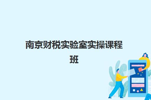 南京财税实验室实操课程班培训机构哪家好？2025年五大机构课程特色与择校指南
